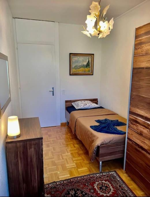 Appartement 7,0 Pieces 3 Chambres Proximite Aeroport Женева Екстериор снимка
